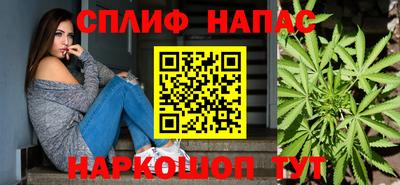 spice Гатчина