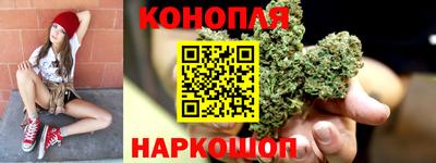 spice Гатчина