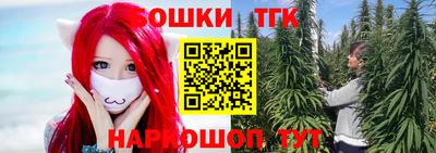 spice Гатчина