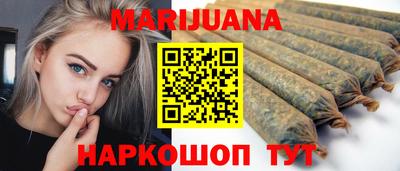 spice Гатчина